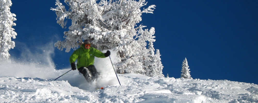 Hittin 7 inches of skied out fresh